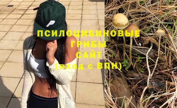 альфа пвп Богданович