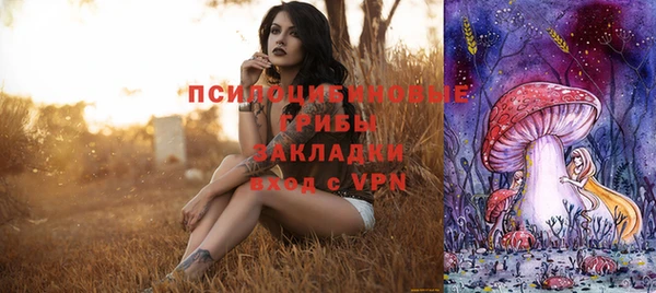 альфа пвп Богданович